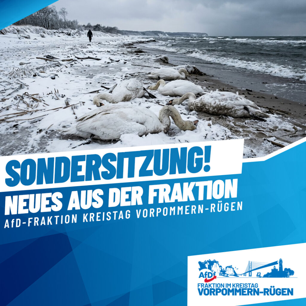 kachel sondersitzung schwaene